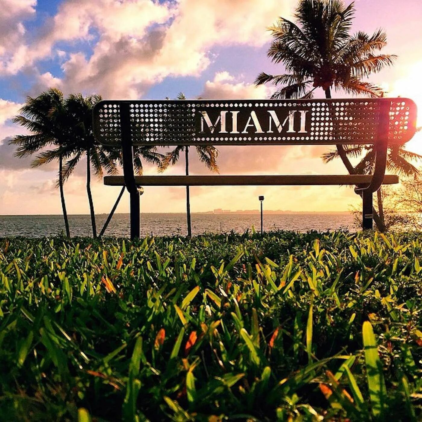 Miami editor