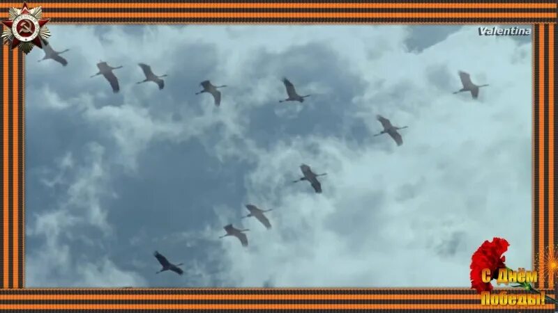 Включи видео песню журавли. Песня журавли шансон. Umaro - далеко - далеко журавли улетели. Унесите меня журавли. Включи видео песню журавли.