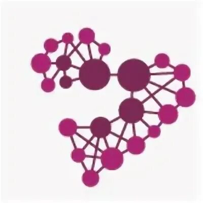 S network. S network