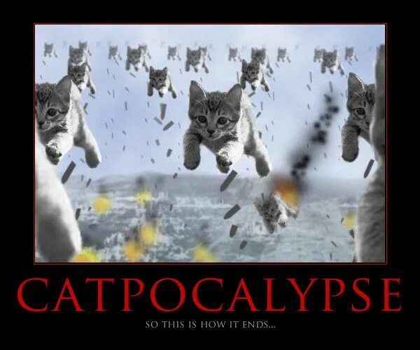 So this is the end. The end мем. world is end мем. the end is near мем. мемы про конец света.