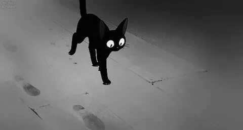 Lucky a big black cat went