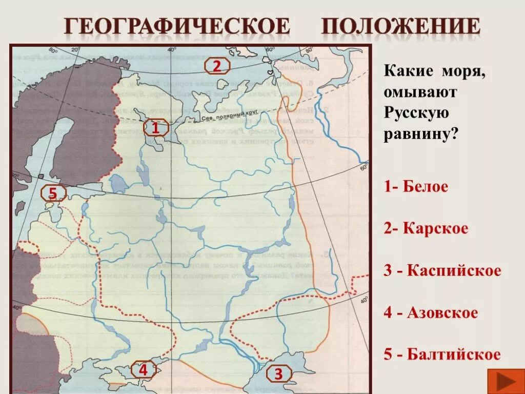 Моря и океаны восточно европейской равнины. Какие моря омывают русскую равнину. Моря омывающие Восточно европейскую равнину. Восточно-европейская равнина мор. Какие моря омывают Восточно европейскую равнину.