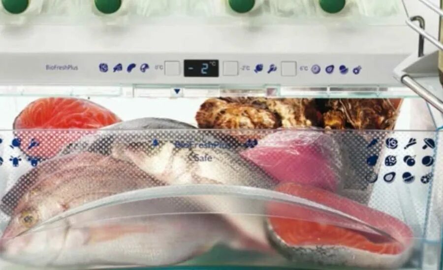 Рыба без холодильника сколько. Холодильники с рыбной продукцией. Мороженная рыба в холодильнике. Как убирать рыбу в холодильник на рыбалке. Убрать запах с холодильника после рыбы.