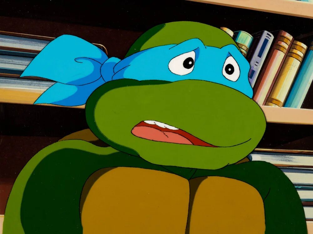 Leonardo turtle