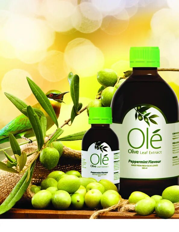Оливковый экстракт. Экстракт оливы. olive leaf extract. ole olive leaf extract. премиум витасайнс экстракт оливы.