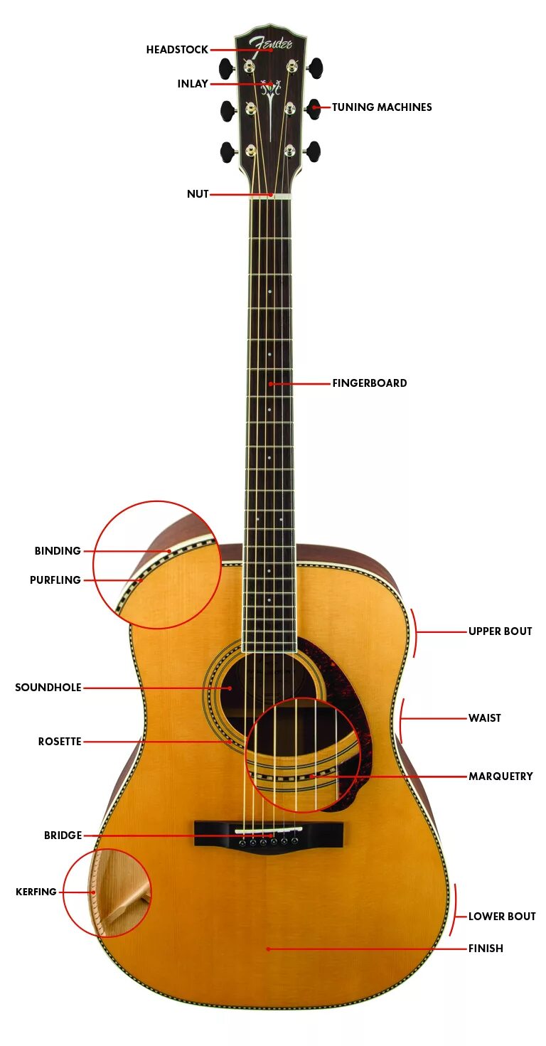 Гитара акустическая названия. Строение гитары акустической. Строение акустической гитары 6-ти струнной. Акустическая гитара состоит. Название деталей гитары.