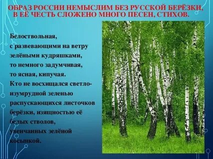 Песня рощи березовой стать