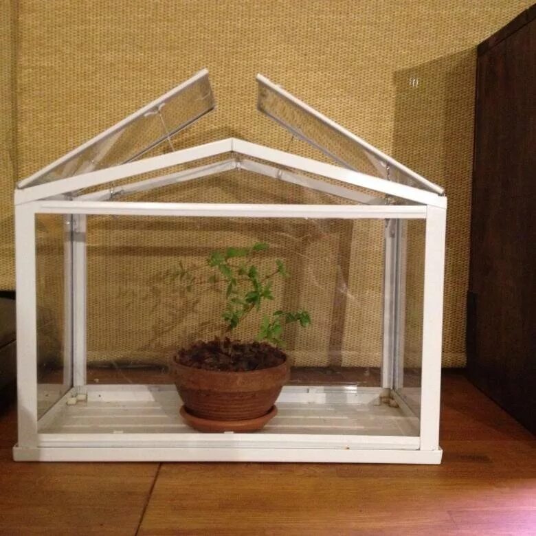 Парник для рассады. Этажерка для рассады на подоконнике. Парник для рассады на подоконник своими руками. Парник на подоконник. Мини теплица икеа.