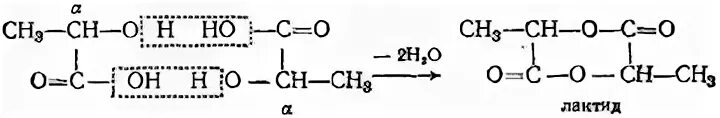 Лактид молочной кислоты. Лактид яблочной кислоты. Кислота образующая лактид. Лактид молочной кислоты образуется. Гидролиз лактида