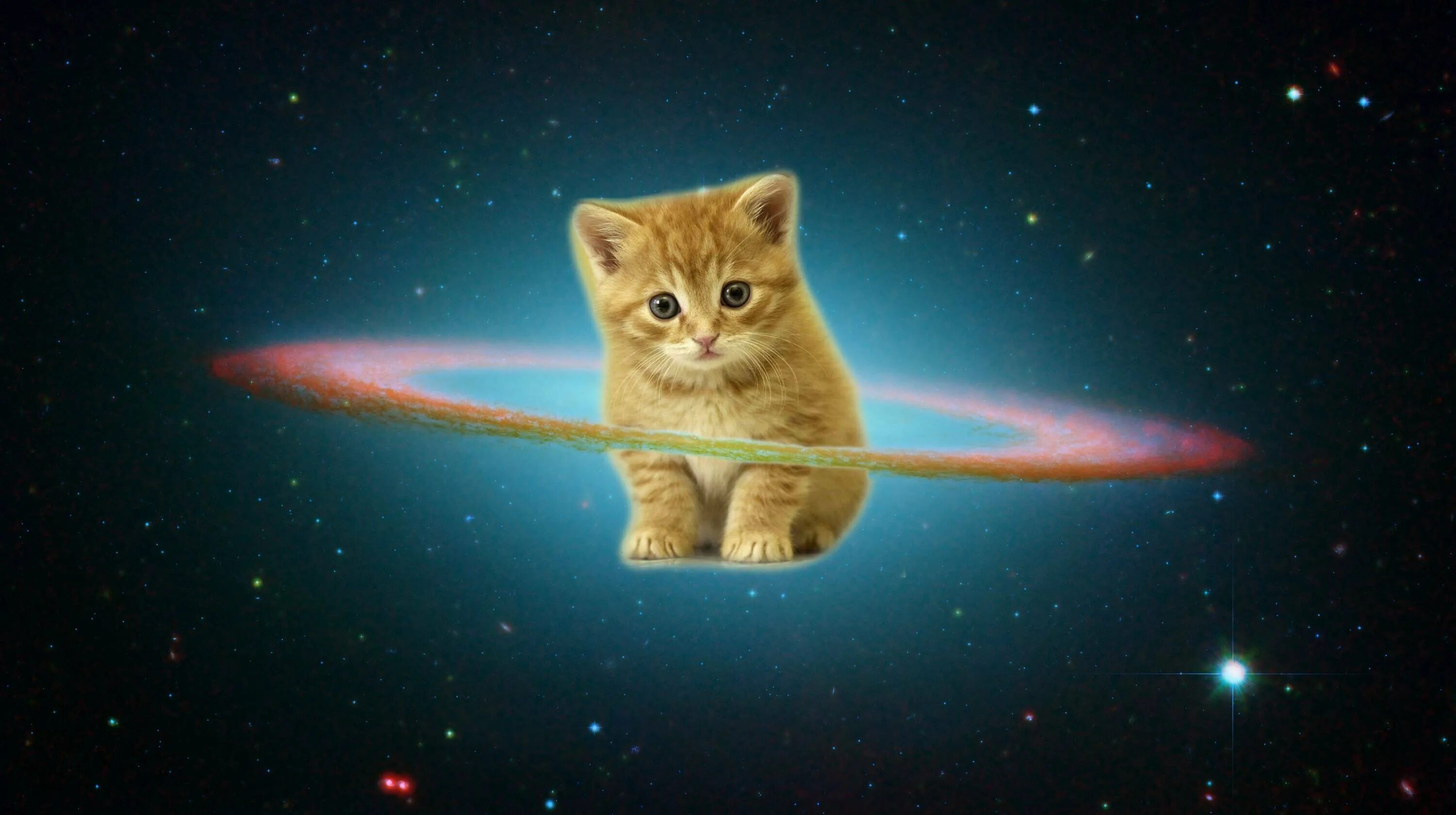 Кот в космосе рисунок. Кот в космосе. Котенок в космосе. Котята на фоне космоса. Котейка в космосе.