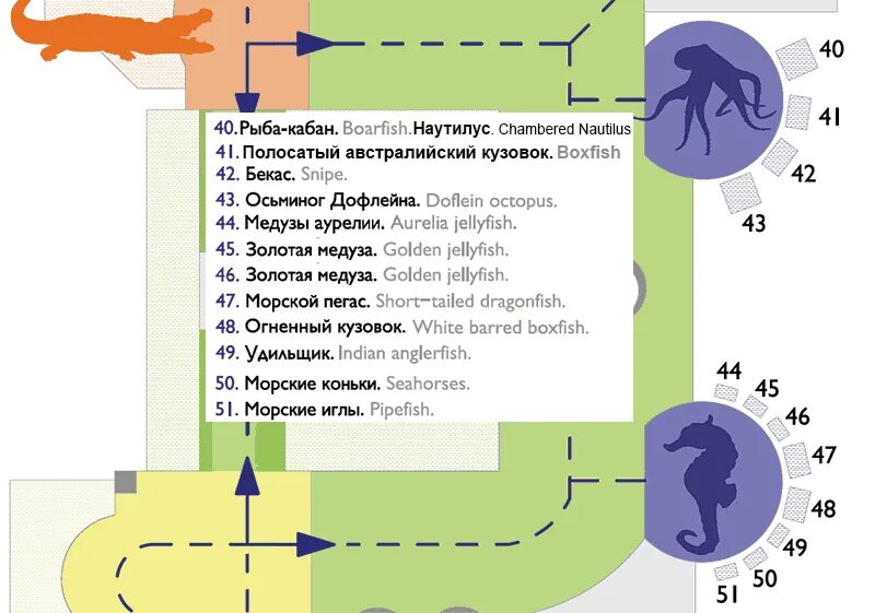 Океанариум схема. Москвариум схема аквариума. Москвариум на ВДНХ расположение схема. Океанариум на ВДНХ схема расположения. Москвариум план аквариумов.