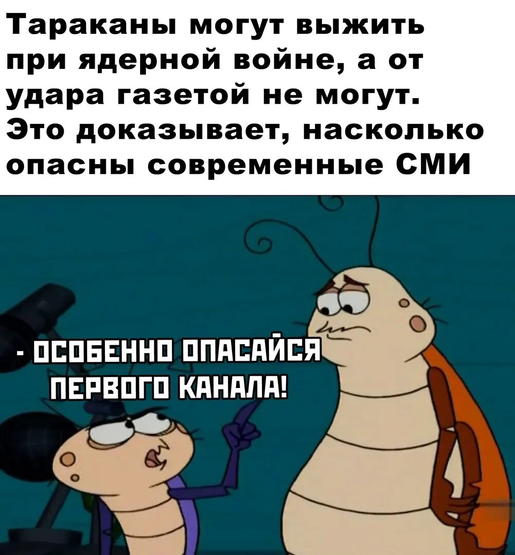 В голове живет другой человек. Шутка про таракана. Анекдот про таракана. Смешные шутки про тараканов. Тараканы прикольные картинки.