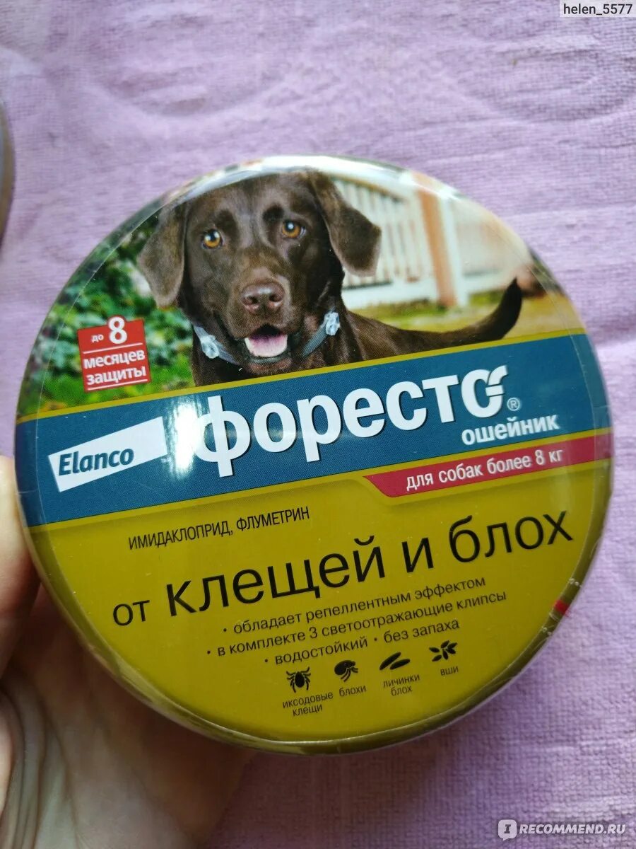 Ошейник Форесто для собак от 8 кг. Ошейник Foresto для собак более 8кг. Ошейник Форесто Elanco для собак более 8 кг. Ошейник от клещей Foresto для собак. Форесто для собак от клещей купить