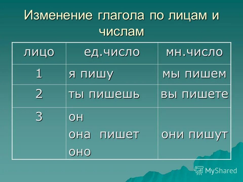 Слова только в единственном числе. Берега единственное число. Падежи и склонения. Падежные окончания прилагательных таблица с вопросами. Склонение по падежам.