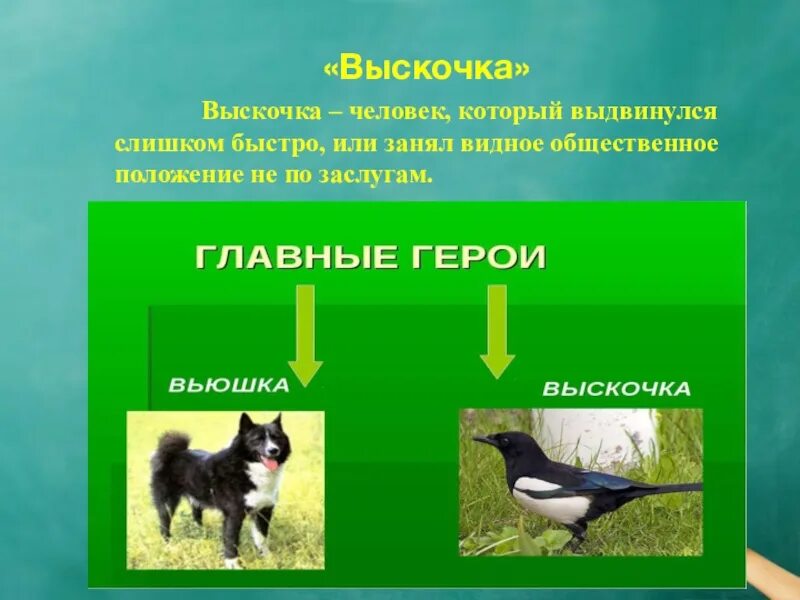 Почему выводки не было птенцов рассказ выскочка. Выскочка. Выскочка главные герои. Вьюшка и выскочка. Выскочка пришвин презентация.