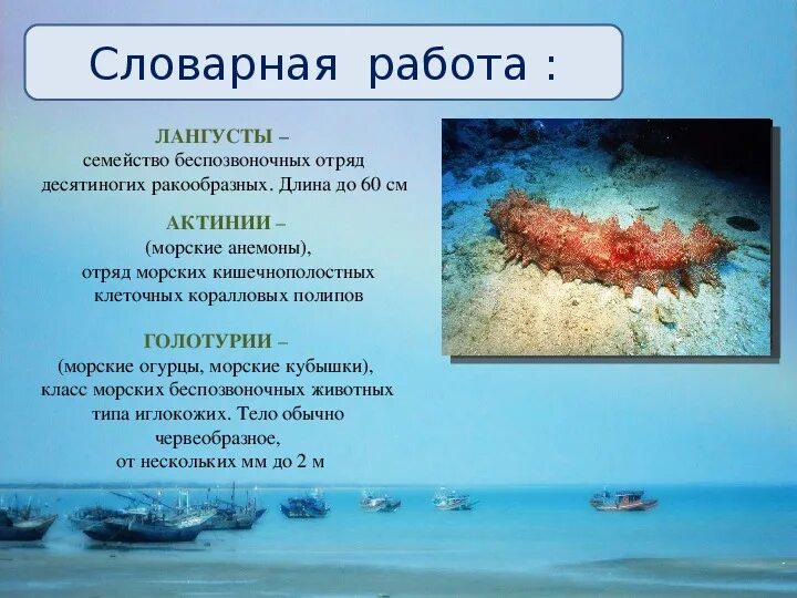 Случай с евсейкой. Актинии сравнение в тексте случай с евсейкой. Рассказ случай с евсейкой 3 класс. Иллюстрация к сказке максима горького случай с евсейкой. Актиния дыхание кишечнополостные.