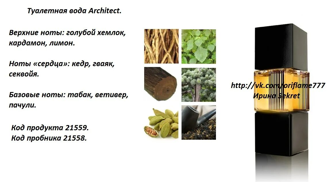 Учиться музыке легко. Что такое нота в табаке. Мужской парфюм для архитектора. Ноты табака в парфюмерии. Духи кристиан лакруа эйвон nuit.