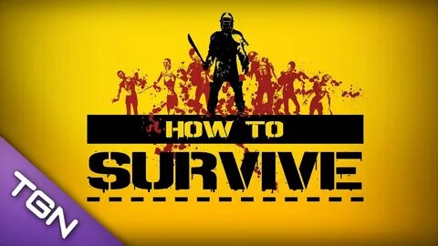 How to survive at the academy