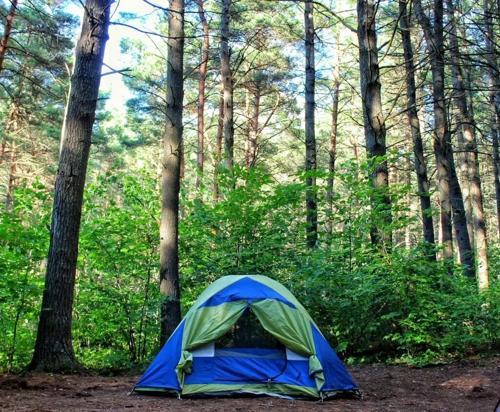 Кемпинг б. Палаточный лагерь Camp 2050. Селигер палаточный лагерь кемпинг. Палатка на природе. Туристическая палатка на природе.