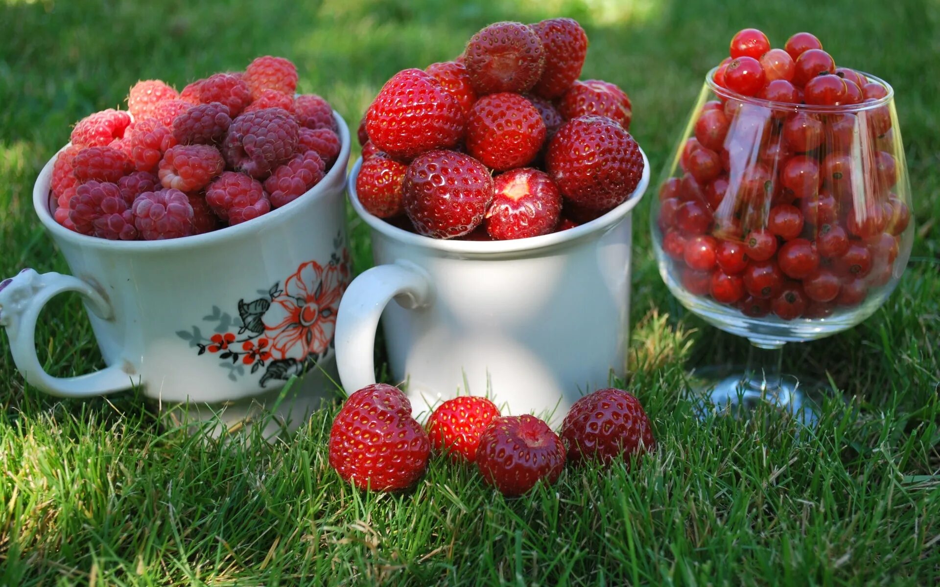 Красивые ягоды. Летние ягоды. Клубника. Лето клубника.