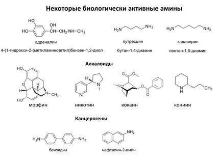 Коламин биологическая роль