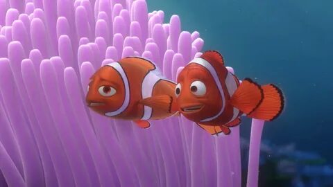 Dory marlin