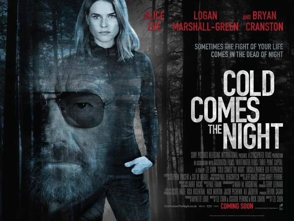 Come cold. Переохлаждению или перегреванию. You and the night 2013 poster. Come cold. Come cold.