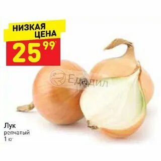 Акции лук