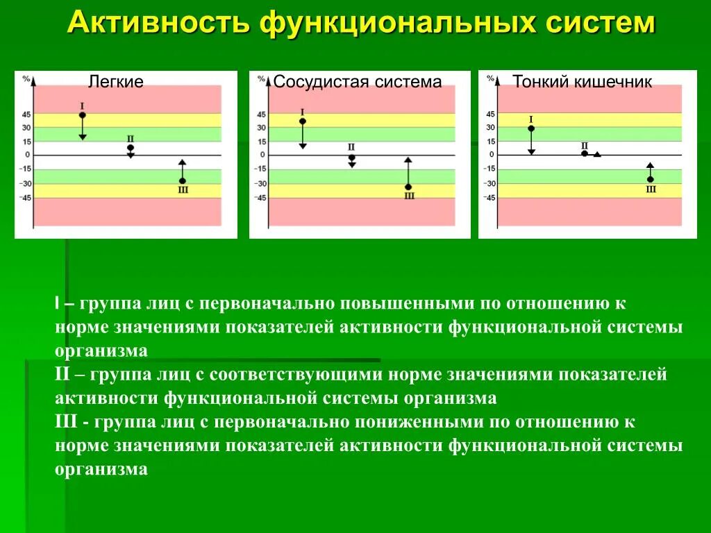 Стационарные активности. Функциональная активность. Функциональная активность человека. График функциональной активности. Функциональная активность картинки.