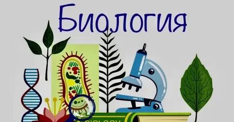 Программа юные биологи