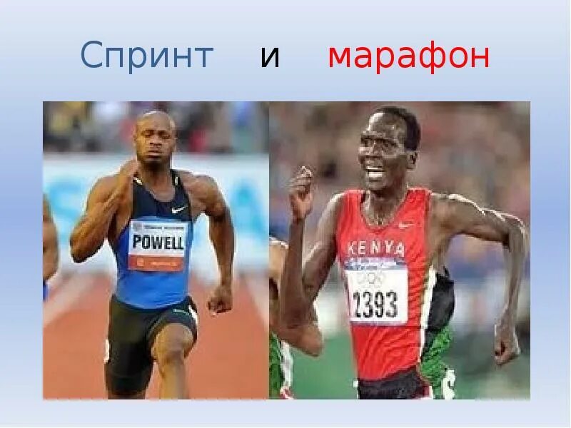 Спринтер или марафонец. Спринтер Стайер марафонец. Спринтер бег vs Стайер. Спринтер vs марафонец. Телосложение марафонца.