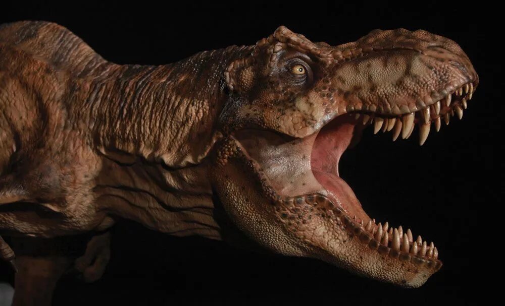 Jurassic t rex. Голова тираннозавра парк Юрского периода. Рекси парк Юрского периода. Тирекс Тирекс. Тирекс парк Юрского периода.