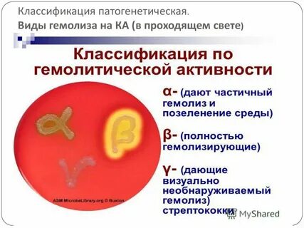Гемолизин