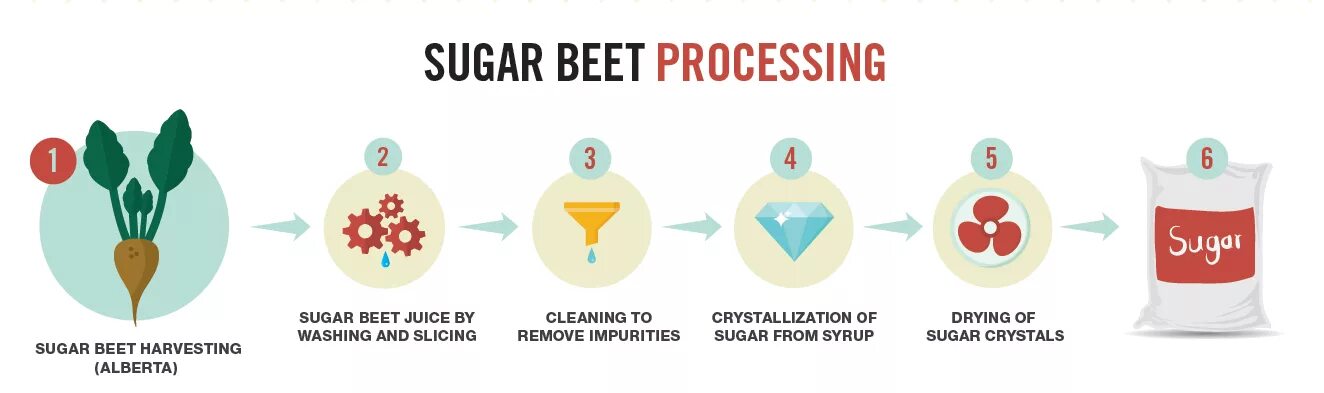 Sugar тварь sugar тварь текст