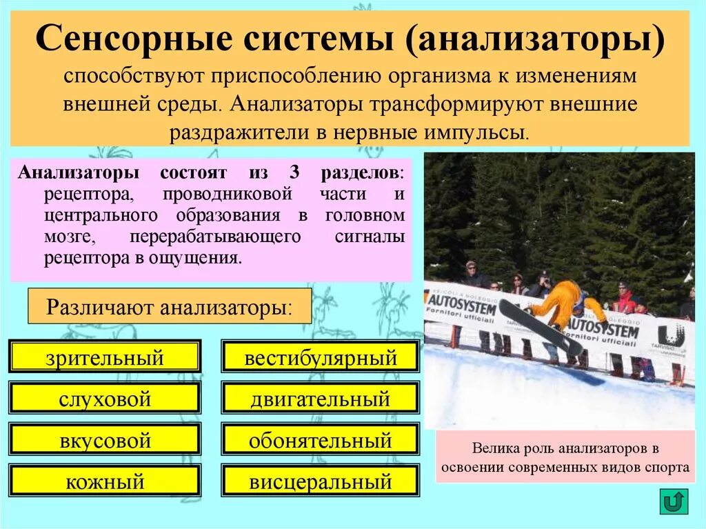 Какое приспособление способствует