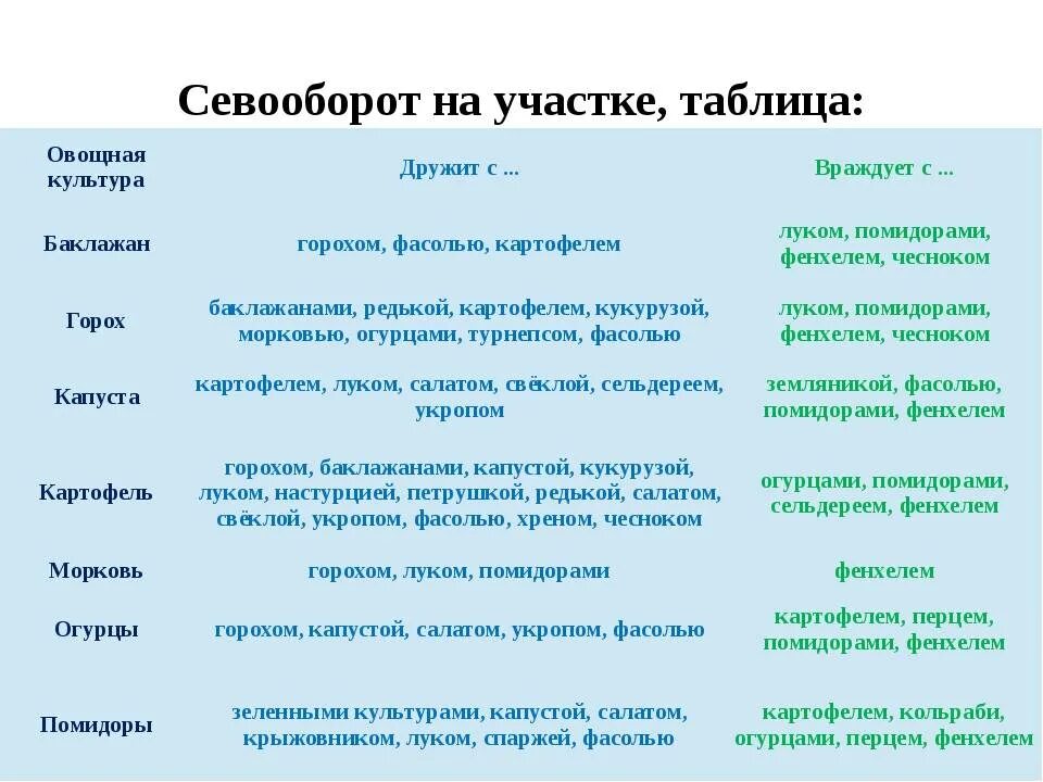 Что посадить после гороха