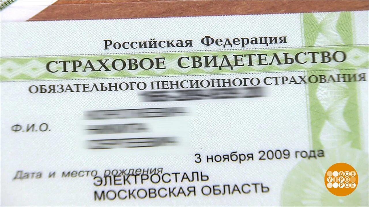 Как распечатать снилс ребенка. Страховое свидетельство. пенсионное страховое свидетельство. страховой номер обязательного пенсионного страхования. снилс карточка.
