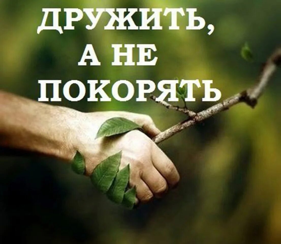 Человек подчиняет природу. Дружить с природой. Надо дружить с природой. Дружить а не покорять. Будем дружить с природой.