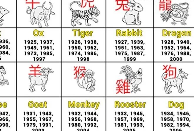 Символы китайского гороскопа. Китайский гороскоп по годам. Годы животных. Год животного по гороскопу.