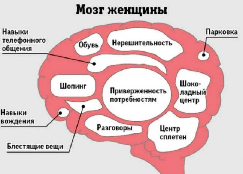 Мозг быть девушка. Мозг быть девушка