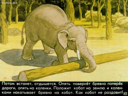 Житков слон главная мысль