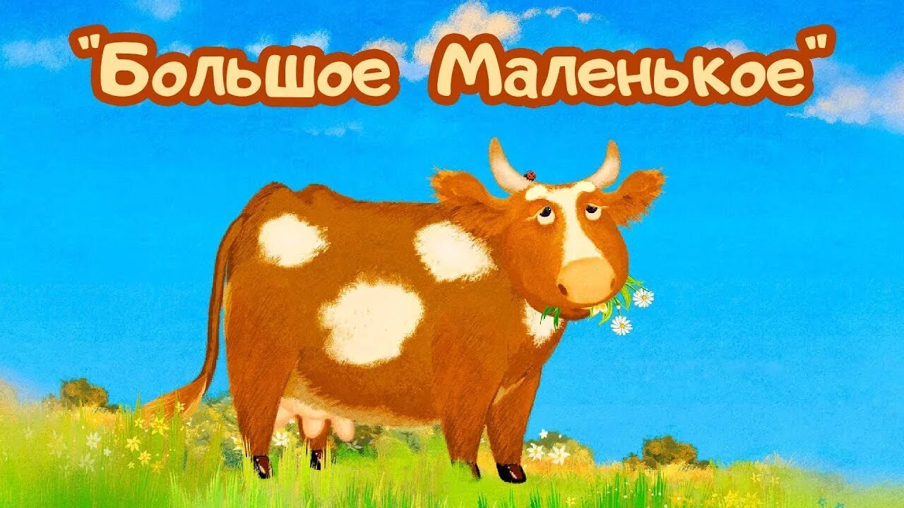 Цып цып давай. Цып цып. цып цып тв.