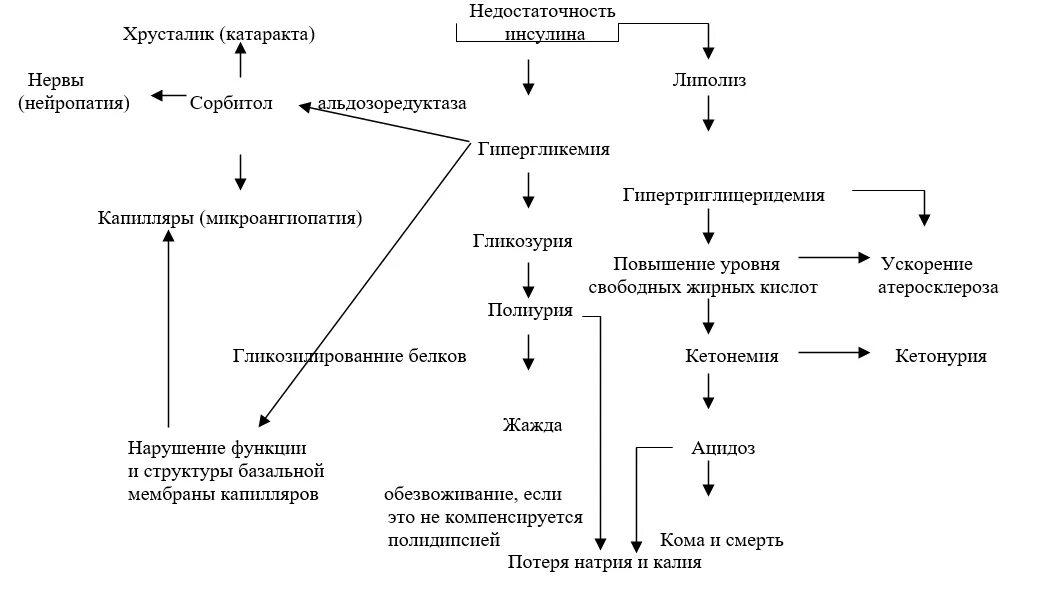 Недостаток синтеза инсулина. Схема патогенеза сахарного диабета. Патогенез сахарного диабета 1 типа схема. Механизм развития сахарного диабета 1 типа биохимия. Механизм образования сахарного диабета 1 типа.