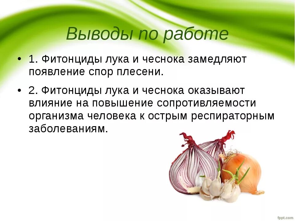 Что содержит лук. Чеснок презентация. чеснок полезные вещества. фитонциды в организме человека. лук чеснок.