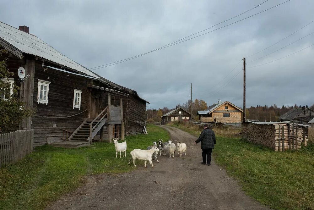 Сколько населения в деревне