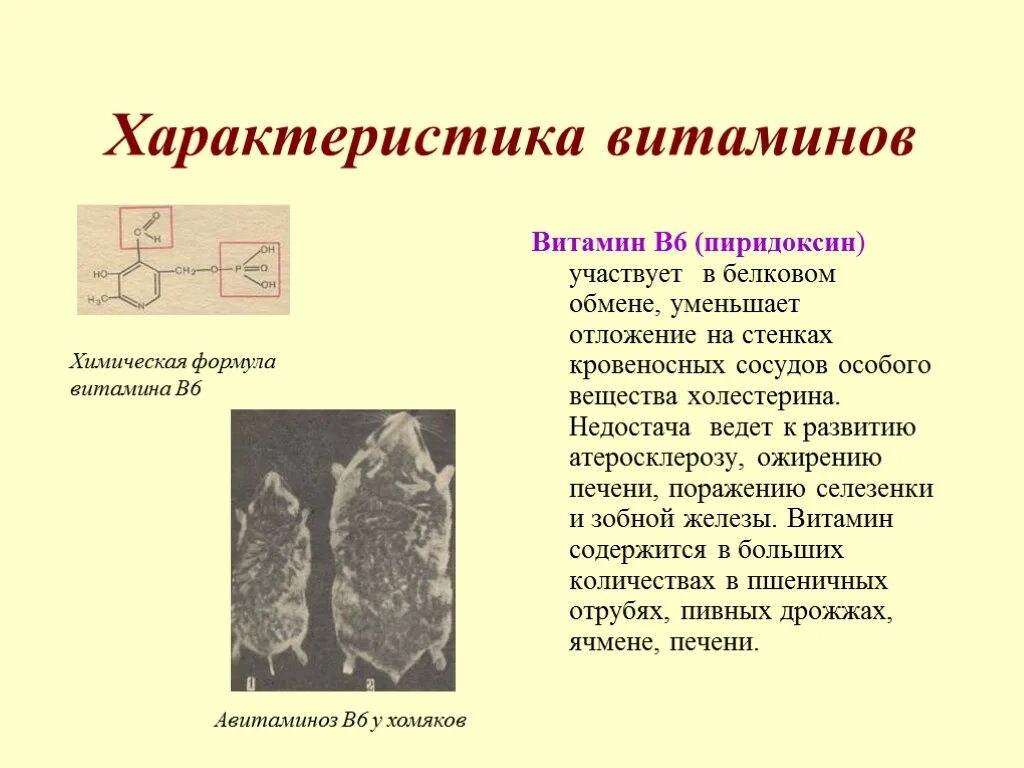 Недостаток б6. Витамин b6 проявление авитаминоза. Болезнь авитаминоза витамина в6.