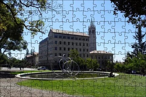 Berkeley university