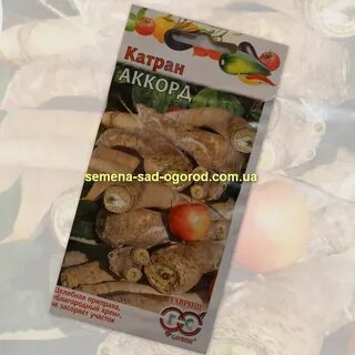 Семена хрена