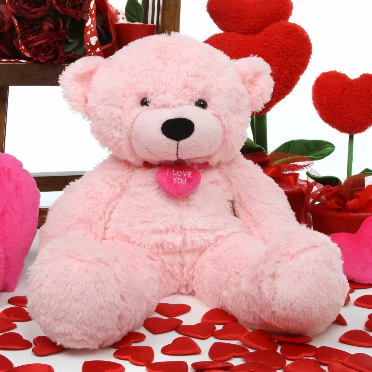 Teddy bear colors