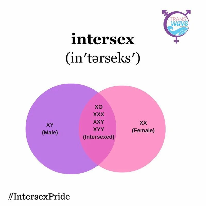 Интерсекс фикбук. Интерсекс. интерсекс вариации. intersex кто это. интерсекс персона.